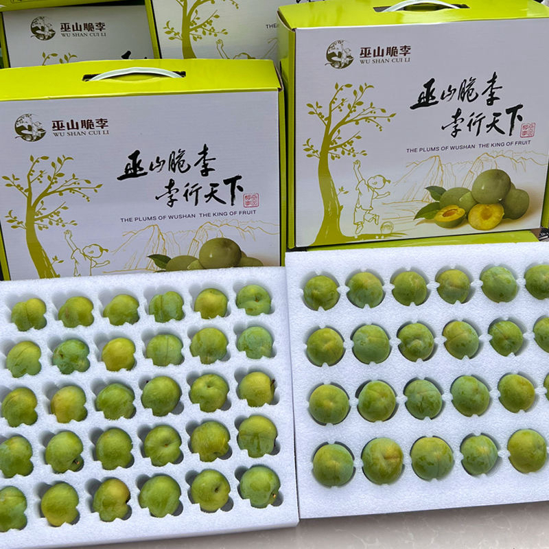 礼品老树果巫山脆李脱骨李青脆李多汁新鲜脱骨非蜂糖李