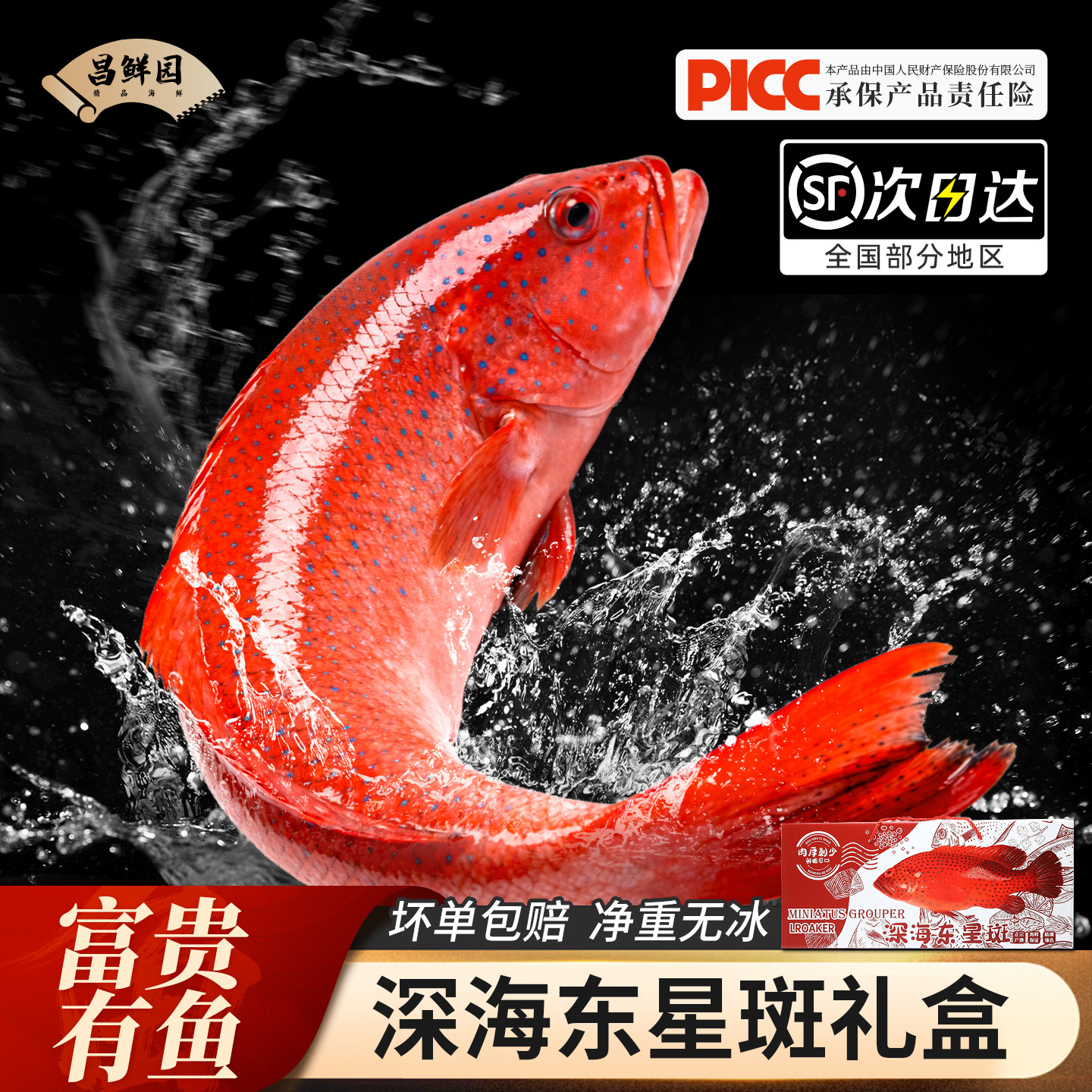 东星斑礼盒装送礼正宗深海高端水产海捕鲜活冷冻石斑鱼年货礼包