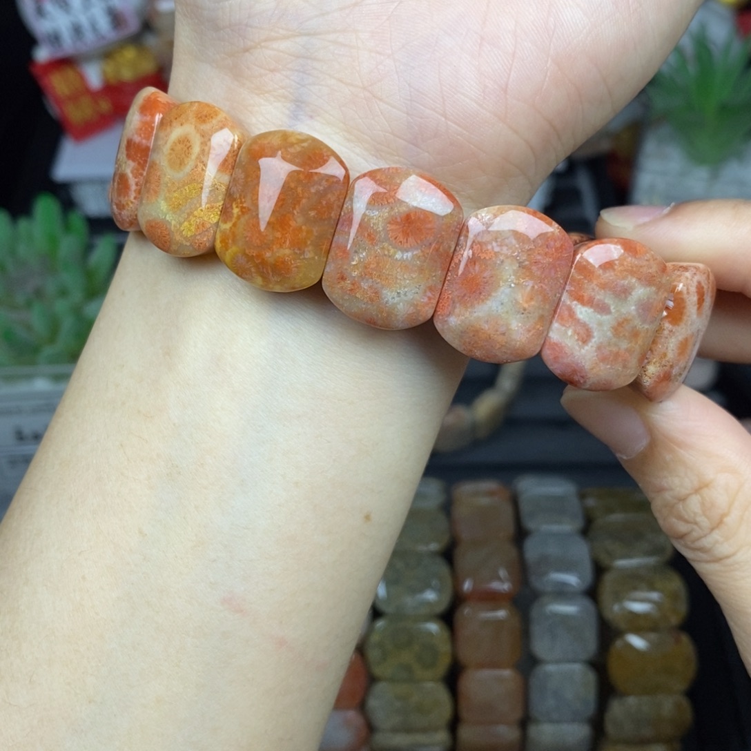 浅***秋硅化玉未镶嵌手链