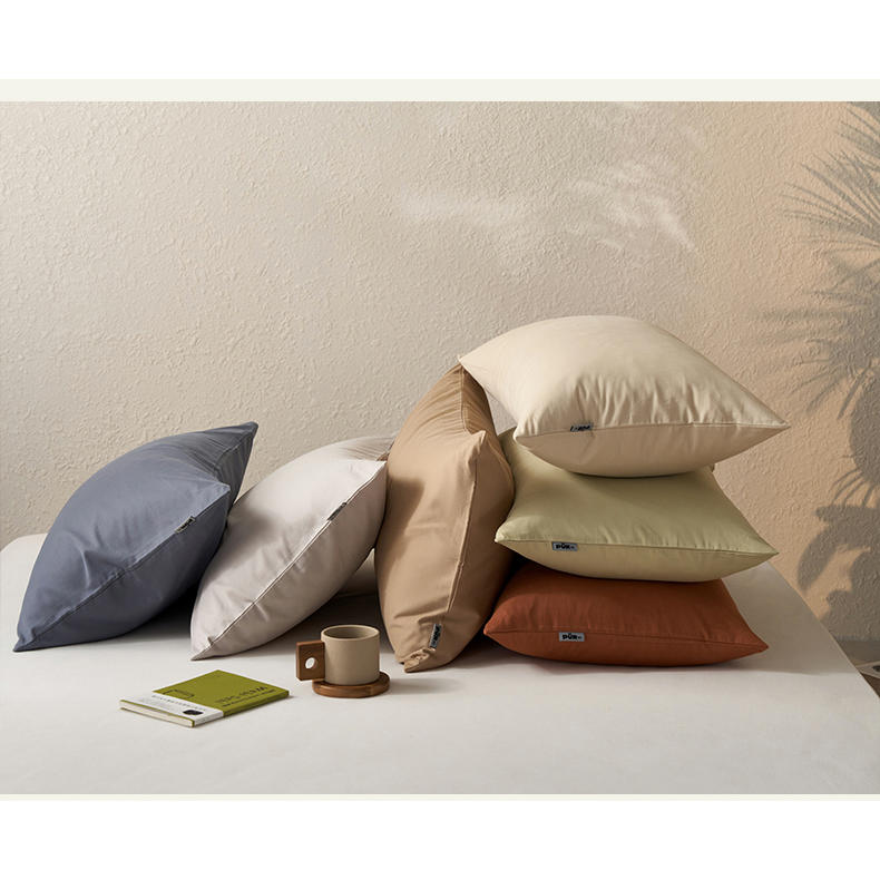 单枕套-2025秋冬新款100支全棉纯色磨毛单品爆款家用宿舍柔软