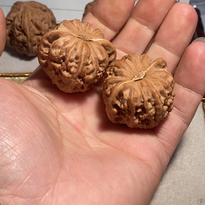 文玩核桃把件正**下核桃