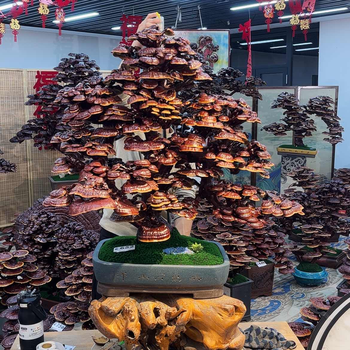 【闪购商品】88888