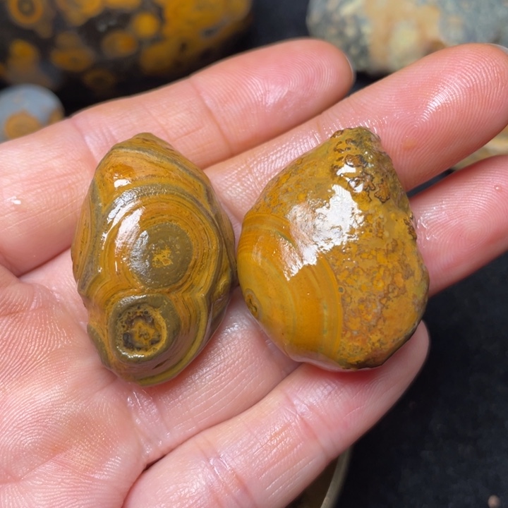 石材九眼页岩钱币石原石96