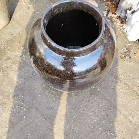 鄱***湖品相如图所示看好了下单