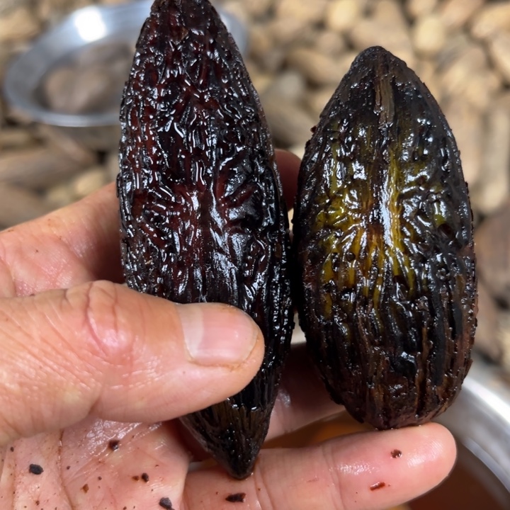 今***你吊坠千眼菩提千眼菩提，44 号。