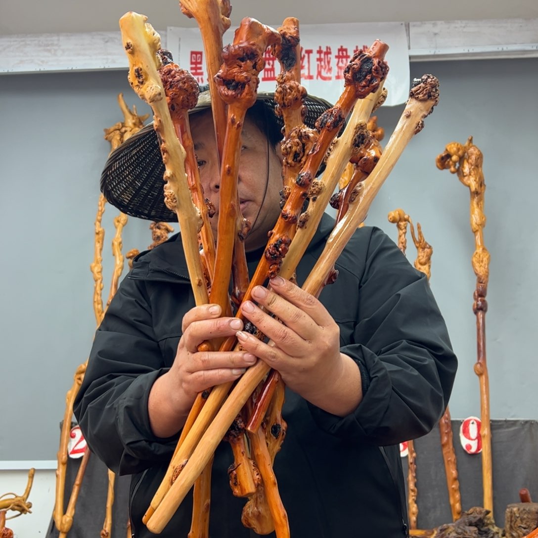 黑果木其他！*！黑果木870