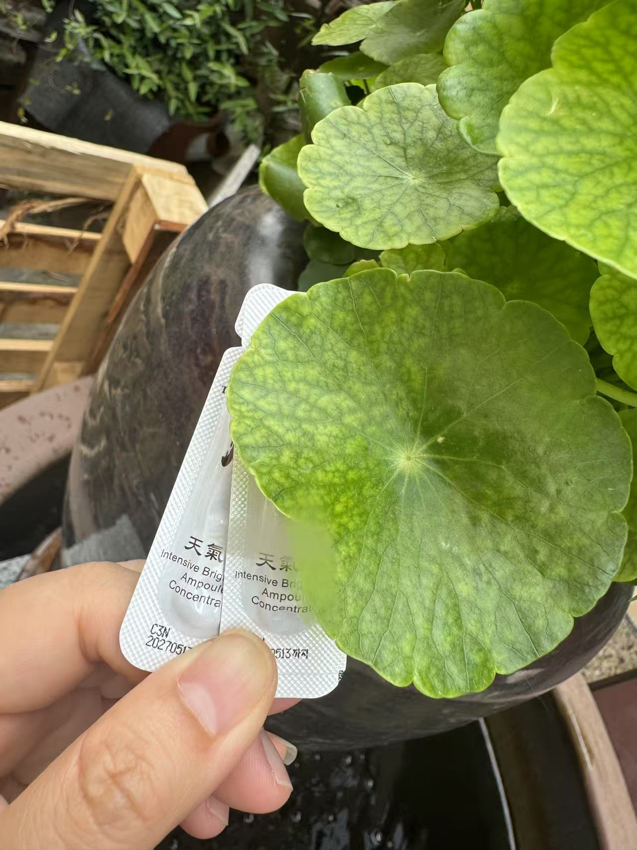 （拍一发二） 天气 稀缺白安平 精华30片 夏天清爽 焕亮白透