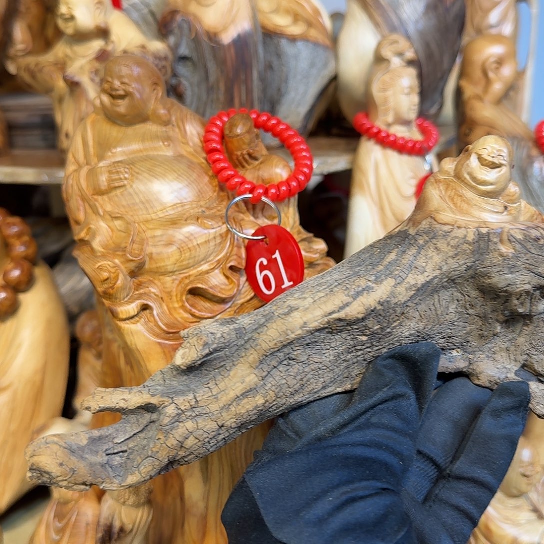 柏木（崖柏）6666666666