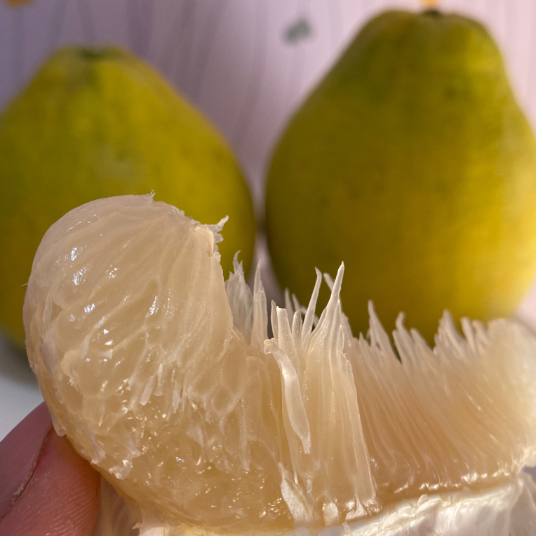 梅州沙田柚新鲜采摘50斤产地直发