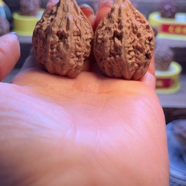 核桃25号车放漏漏le