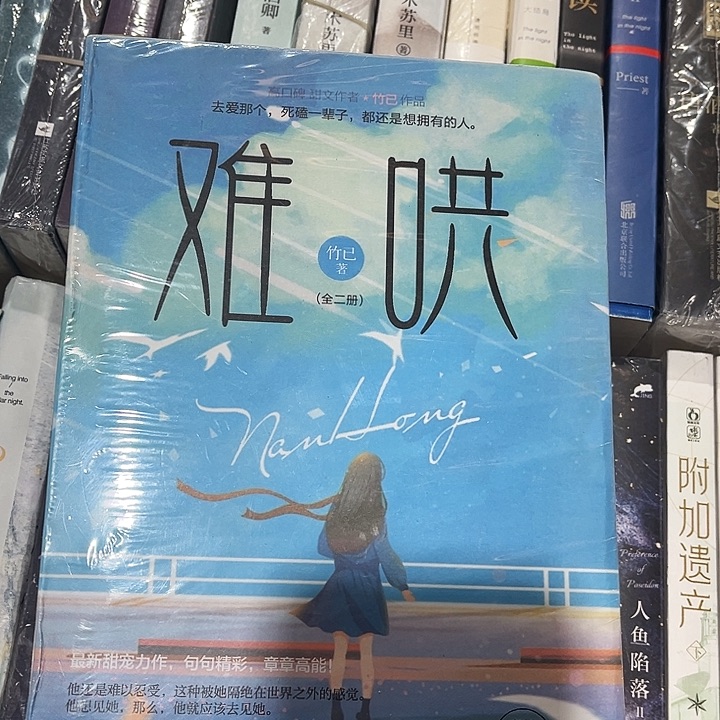 难哄全新全套两本