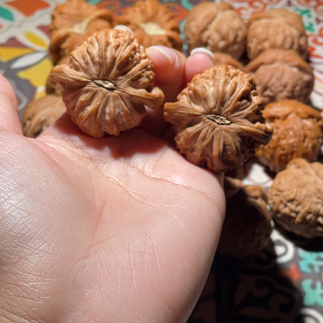 感***号核桃手串/手链41白狮子