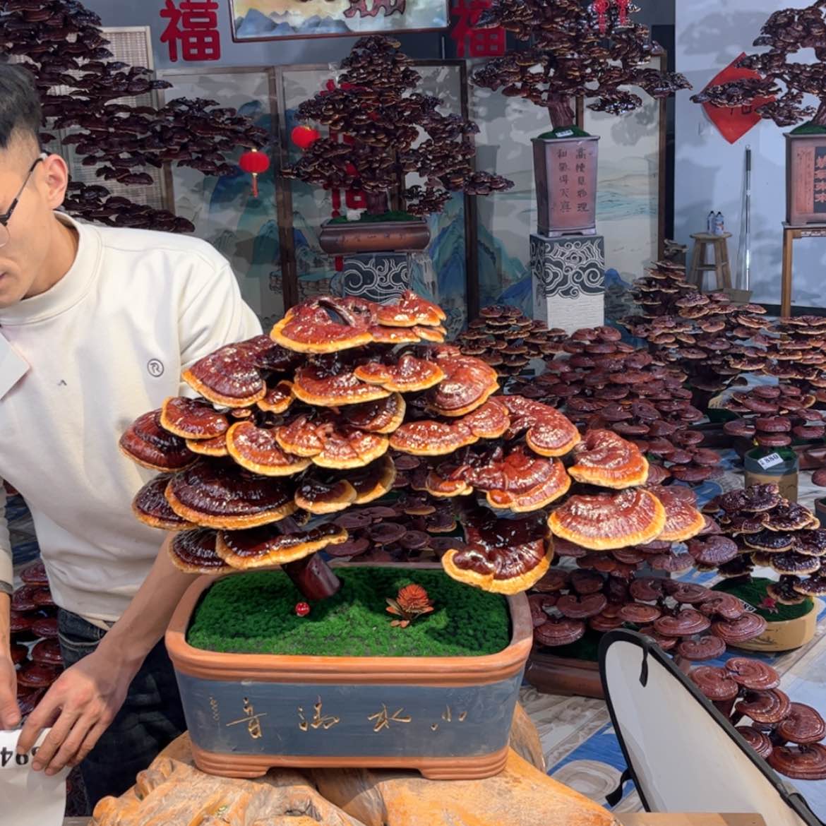 【闪购商品】80888