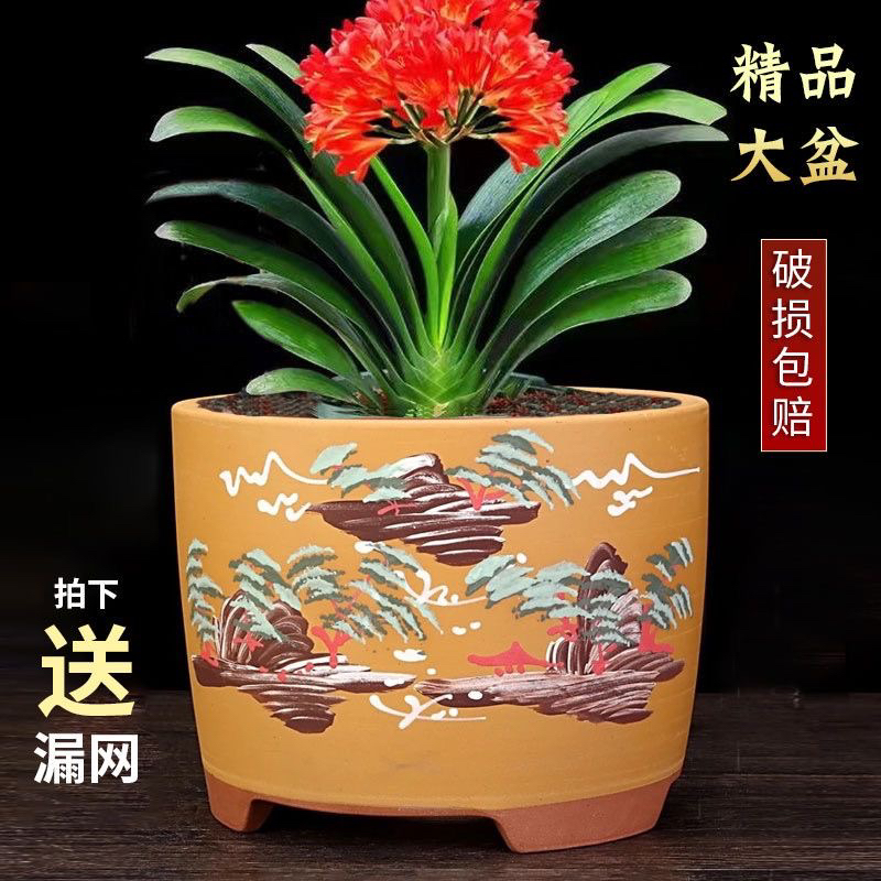 宜兴紫砂兰花盆专用泥绘山水盆君子兰吊兰家用绿植陶瓷盆厂家清仓