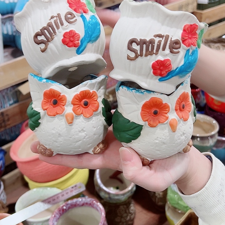 有孔，凑单福利满10元发货陶瓷多肉花盆！