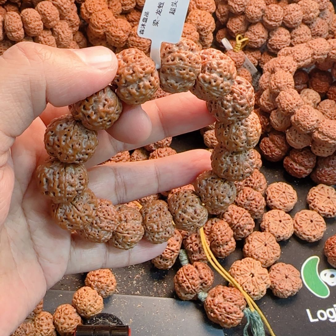 金刚菩提吊坠烦***?龙蛭