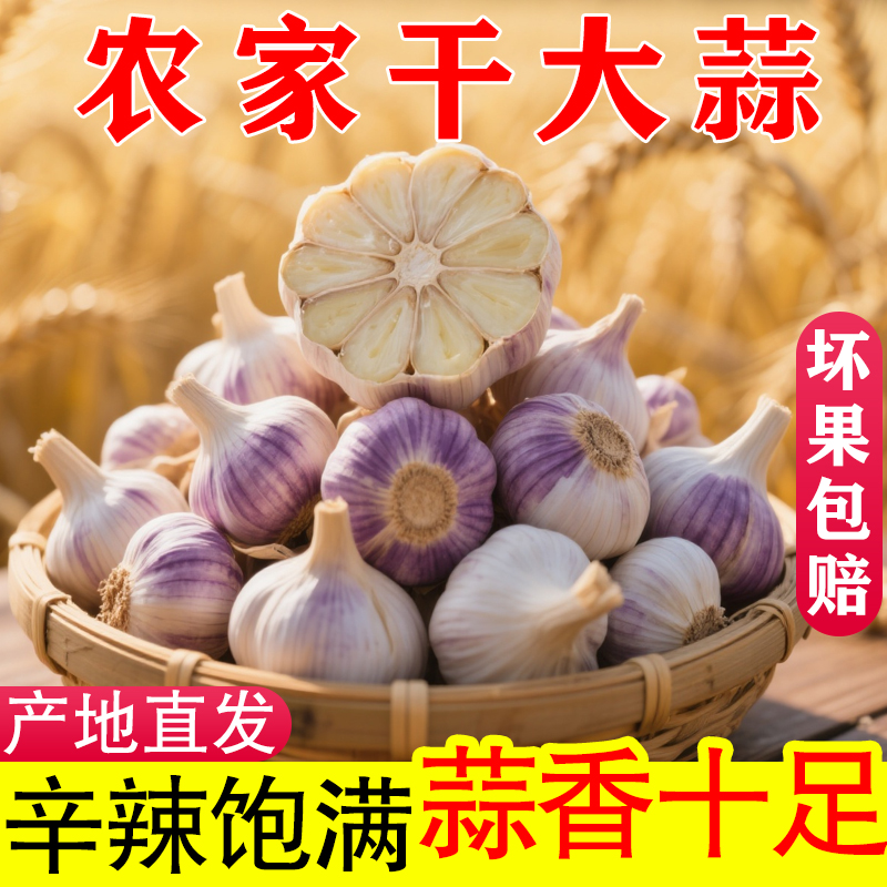 【源头产地】5斤2025新干蒜农家自种大蒜头河南蒜紫白皮1斤3斤9斤