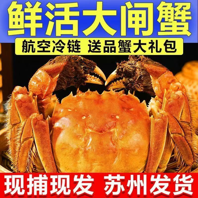 【活蟹现发】鲜活大闸蟹 公4.1-3.8母3.1-2.8两6/8/10只蔡