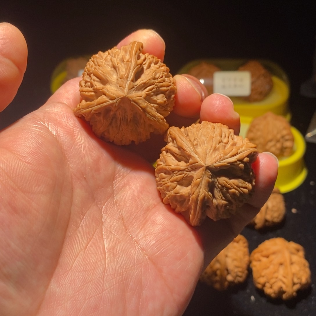 用****740精品御龙粗筋正球奔