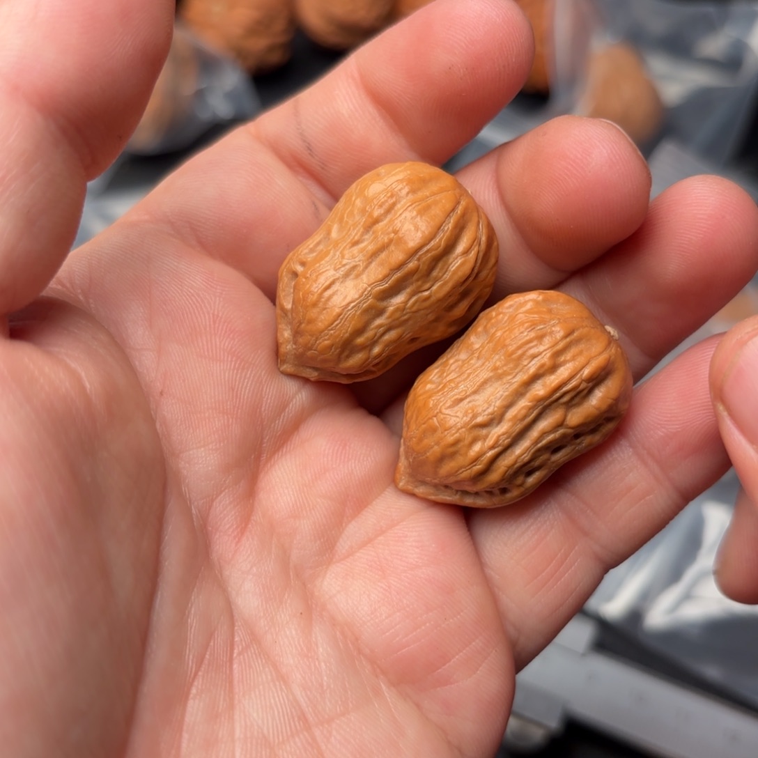 把件文玩核桃51000000