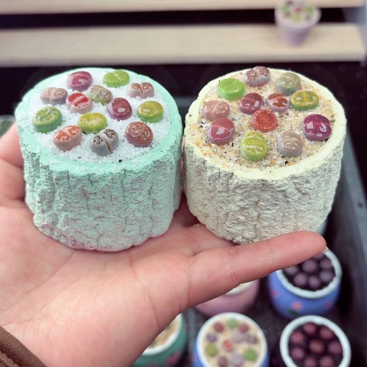 551凑满18包邮零下地区记得拍保温箱