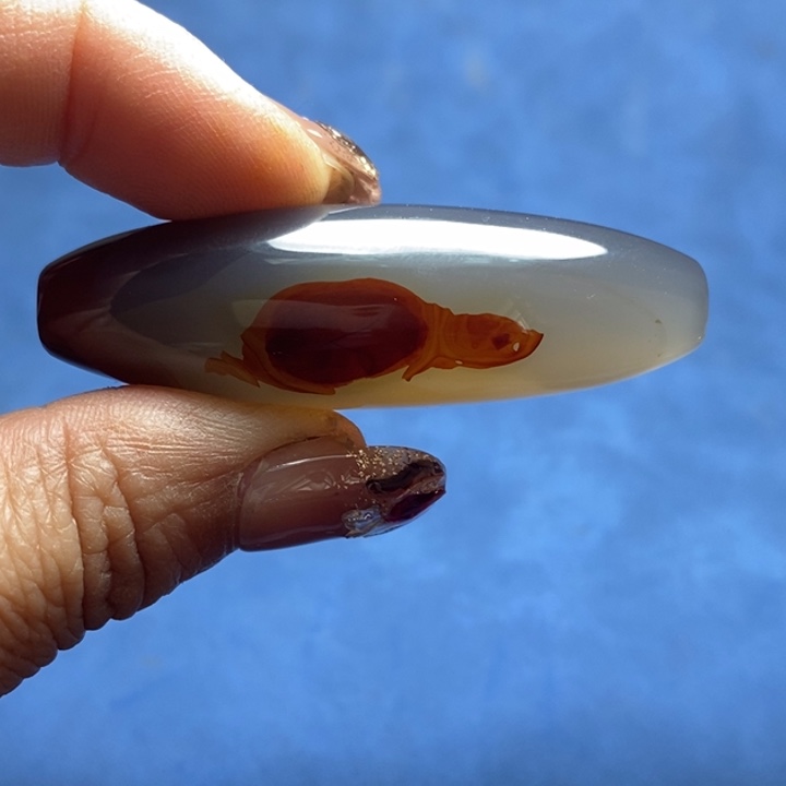 合金颈饰玛瑙/玉髓W****7