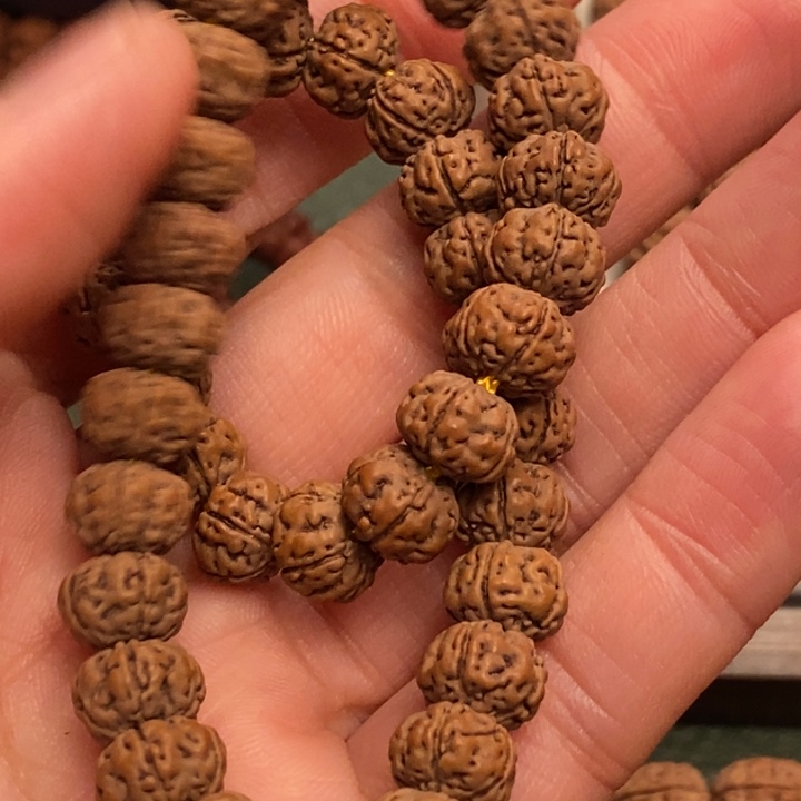 菩提社****衣纯血老树王