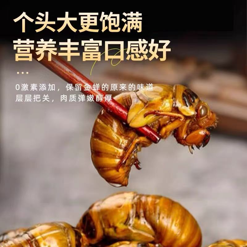 【鸿运金蝉200只装】顺丰新鲜大知了猴金蝉活体爬叉速冻营养美味