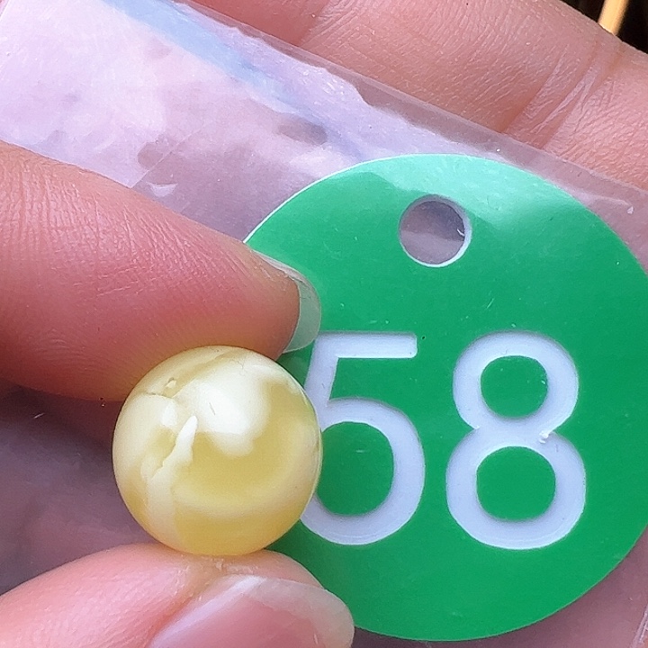 蜜蜡裸石未镶嵌12.7m m