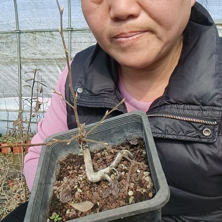 家***宝无花朵1525566855878