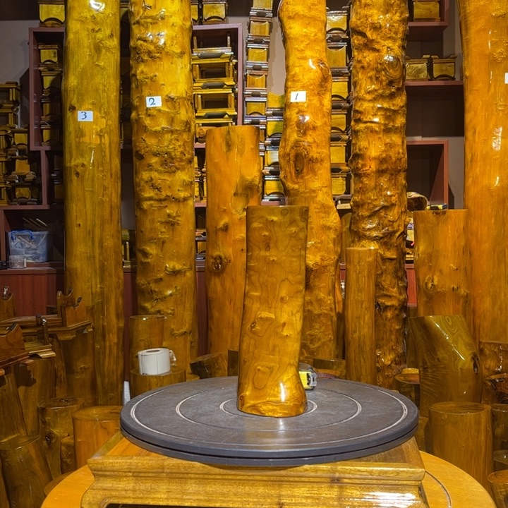 木小叶桢楠金丝楠