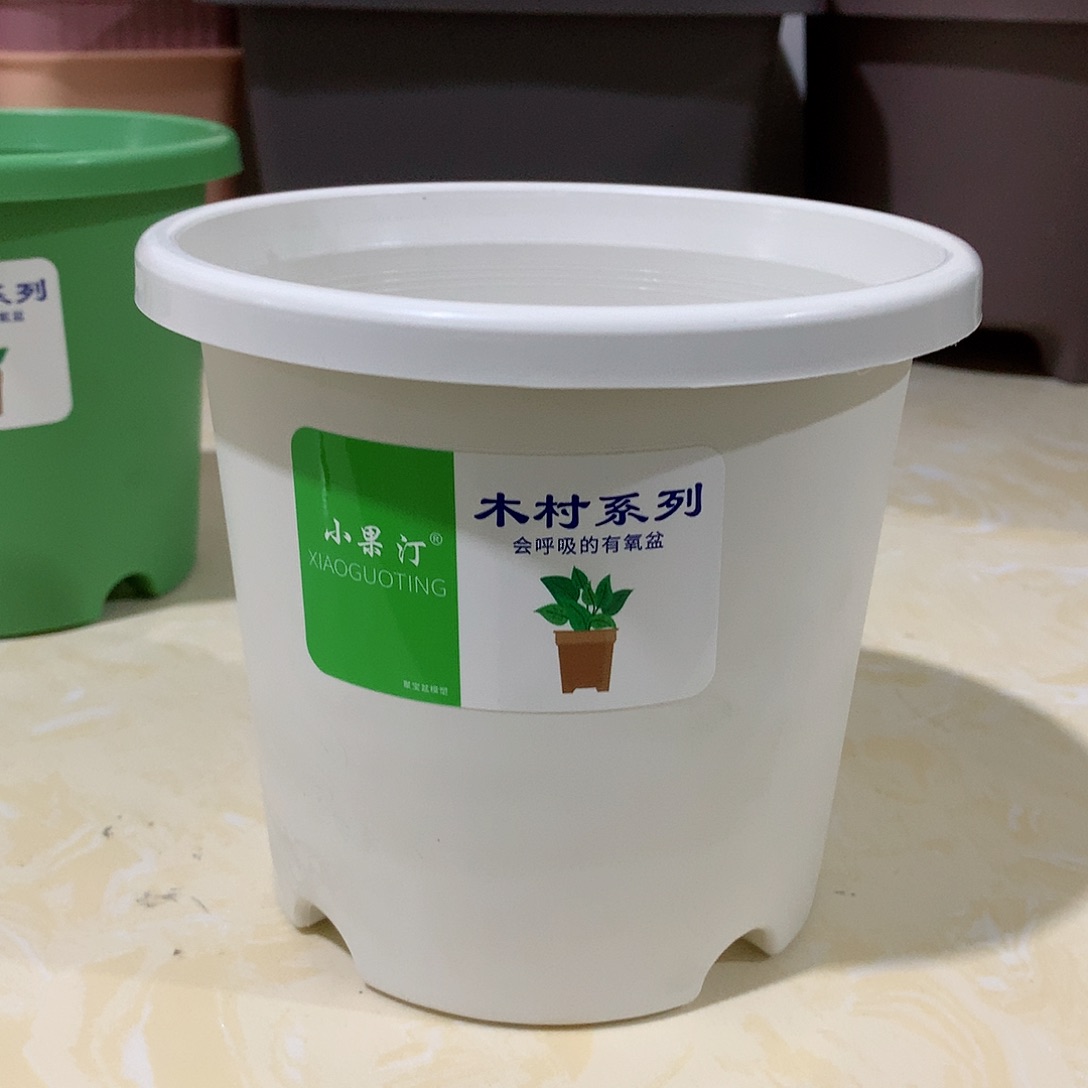 树脂四季口15白10个无托