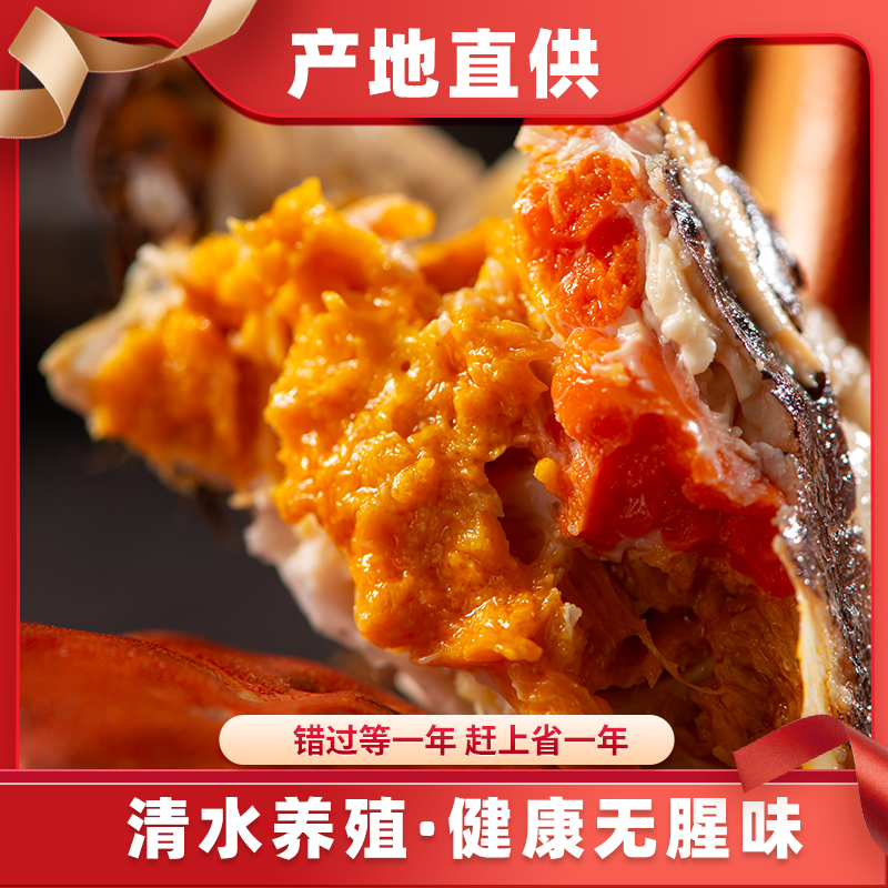 （活蟹）全母蟹（2.8-3.1两）十只装洪泽湖大闸蟹螃蟹礼盒包装