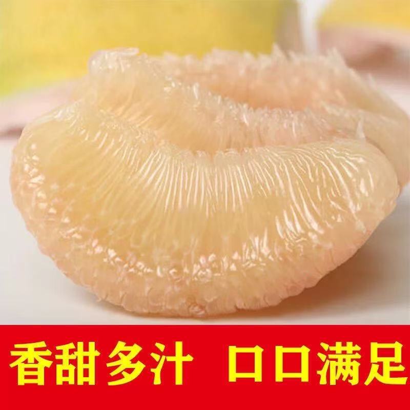 30斤装正宗仙游度尾老树红心文旦柚新鲜当季水果酸甜多汁老少皆宜