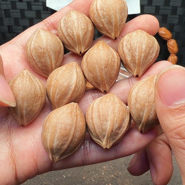 手串/手链橄榄核橄榄