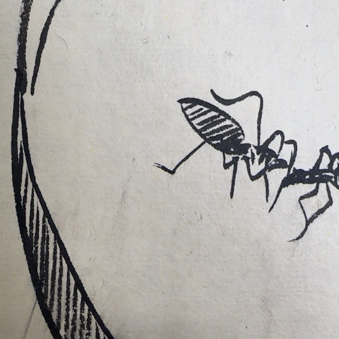 平****者好了已经安排好了13