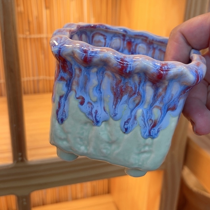 多肉植物陶瓷花盆