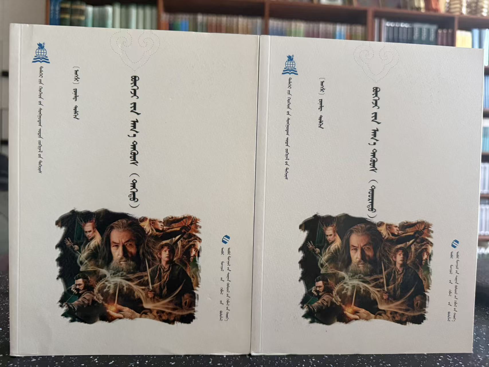 世界儿童文学精选系列 魔戒（上、下册）