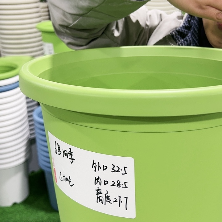 特价6号四季口32高28白色无托4只