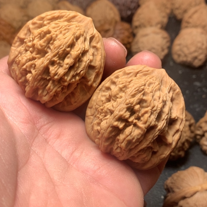 【闪购商品】麦穗虎头