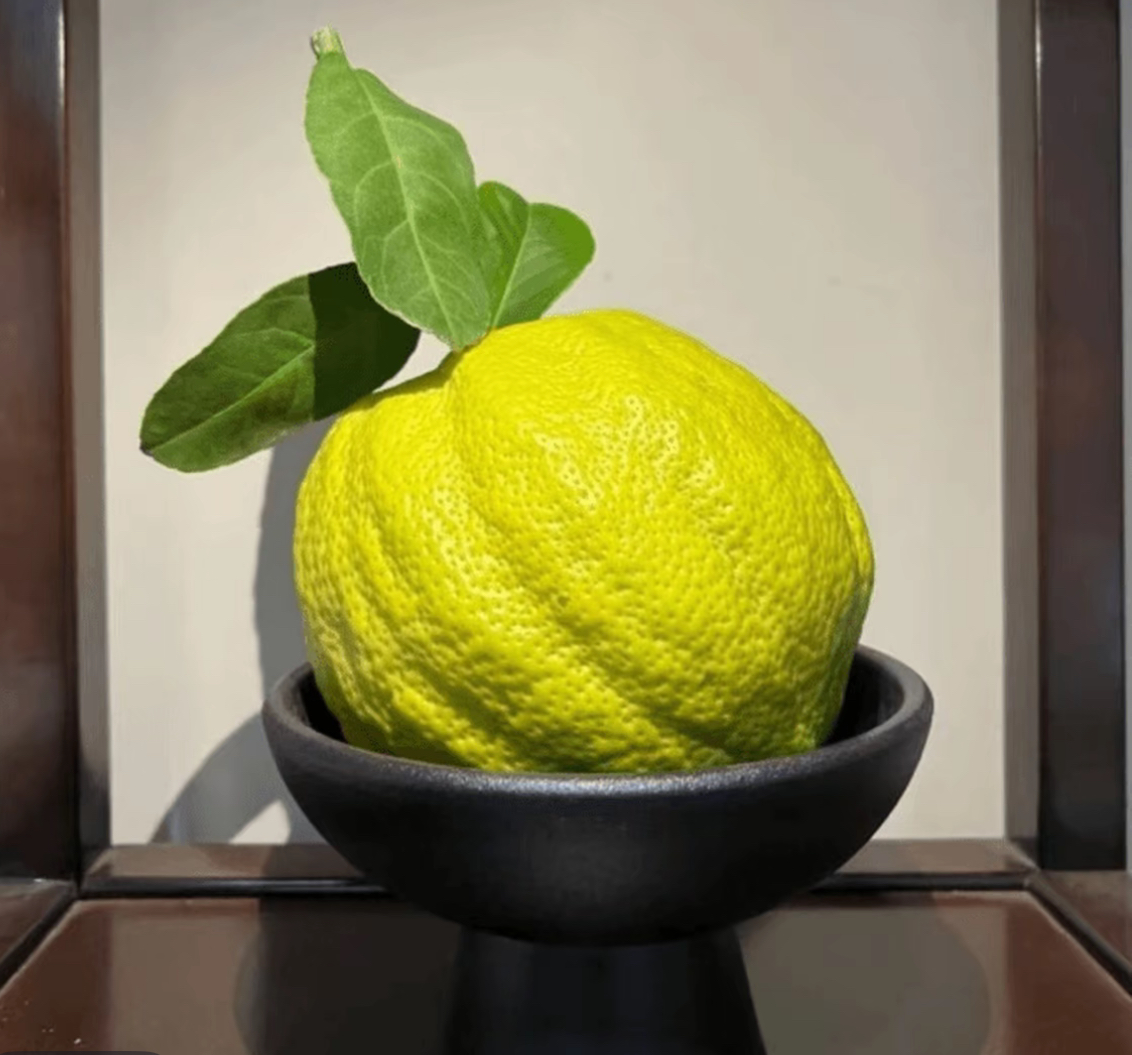 【兰兰专属】云南香橼果摆件清供送礼礼佛香薰