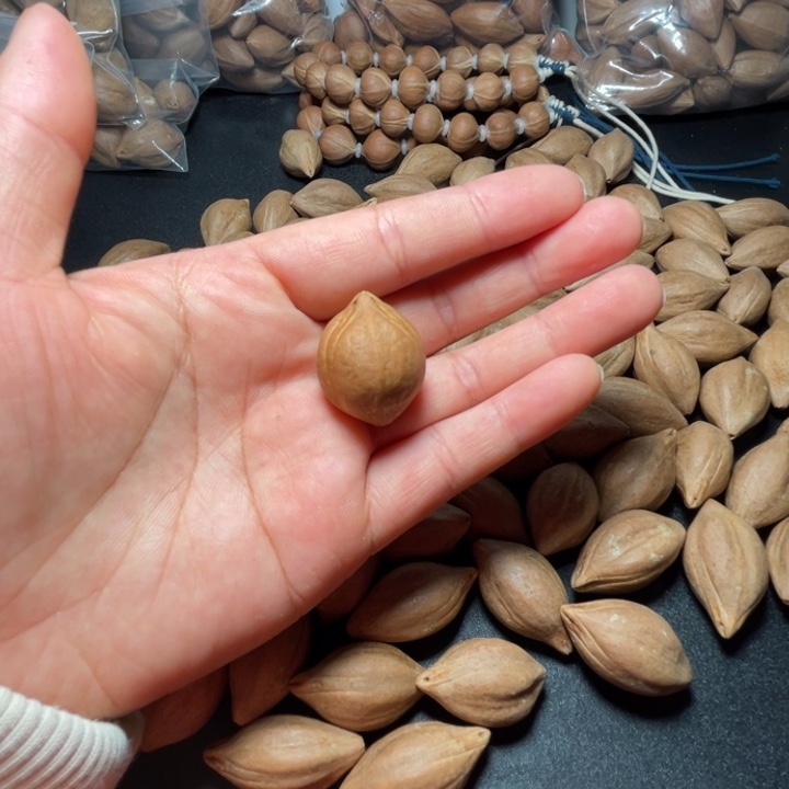 手串/手链猪牙我是