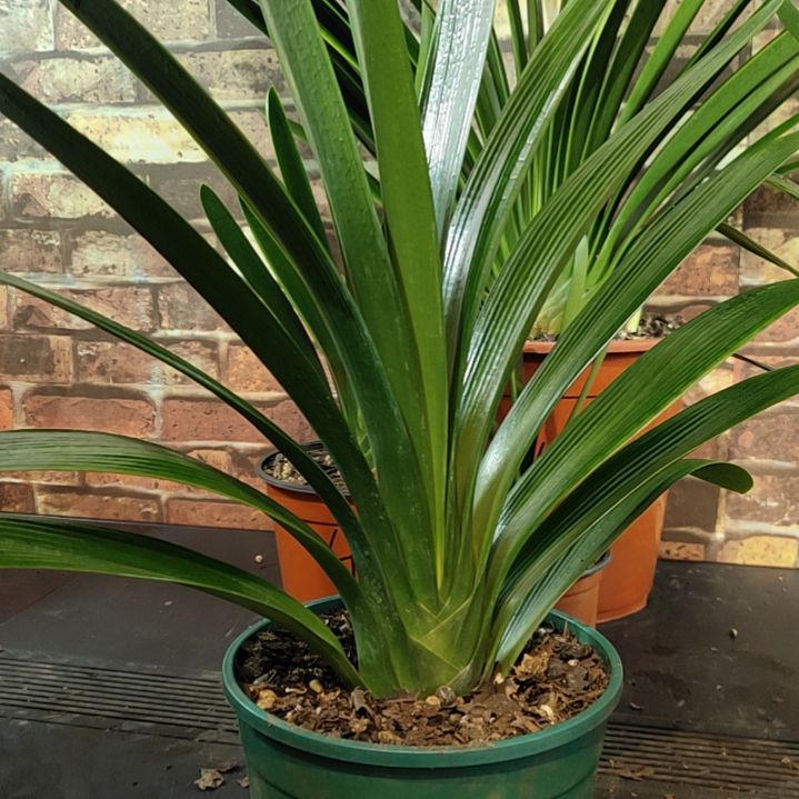 完全开放111111111