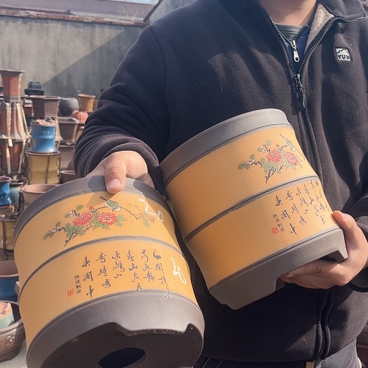 紫砂紫砂花盆盆栽