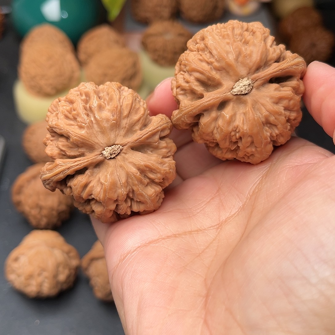 顾***奕文玩核桃把件粗筋