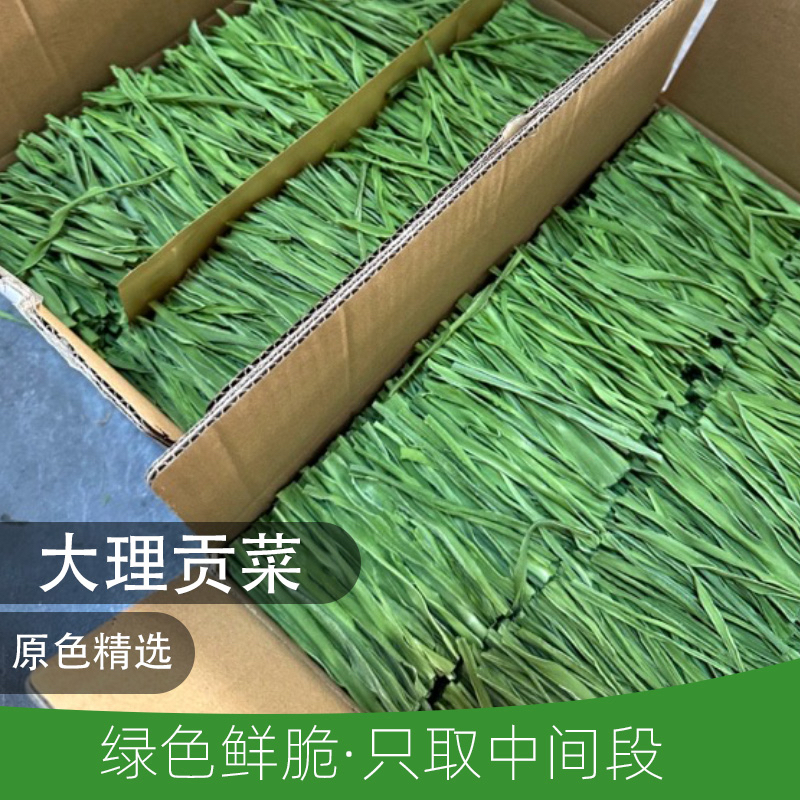【翡叶只取中段】云南大理宾川贡菜之乡干货精品贡菜干贡菜火锅专用