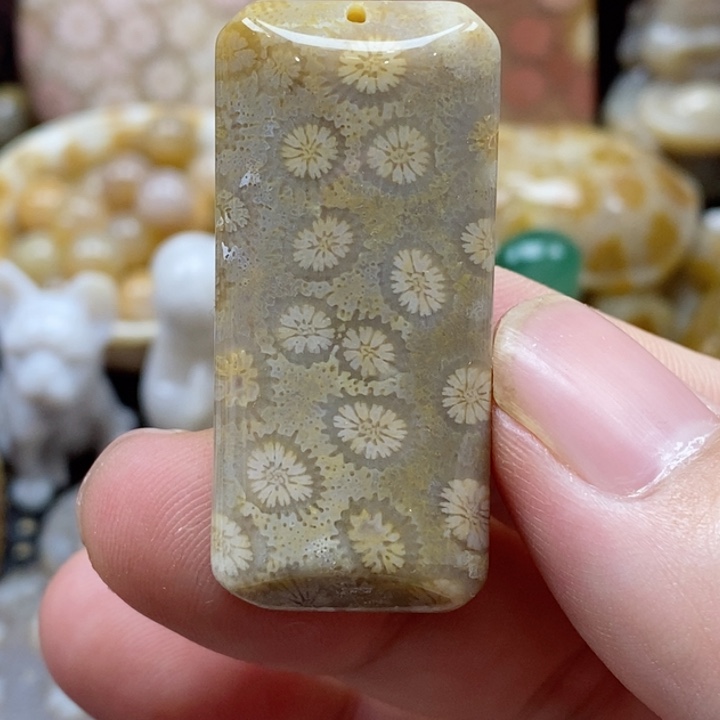 硅化珊瑚（珊瑚玉）颈饰未镶嵌