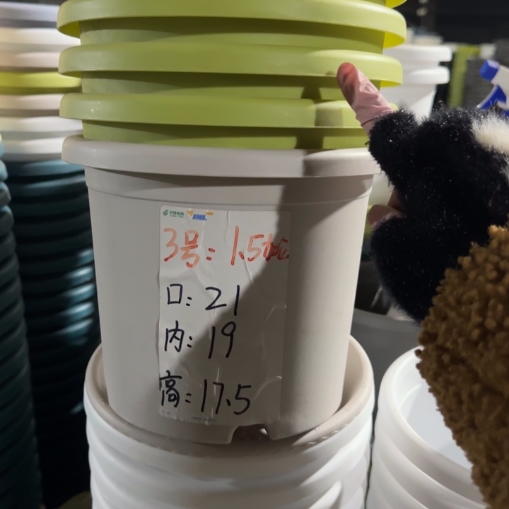 微瑕3#口径21无托果绿10个