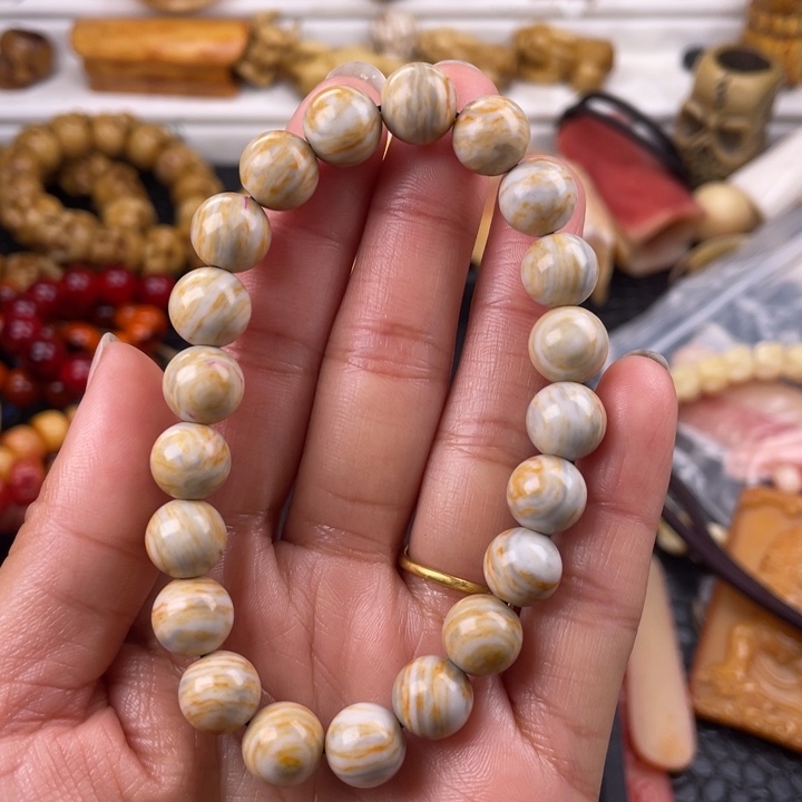 驼骨其他人工养殖10