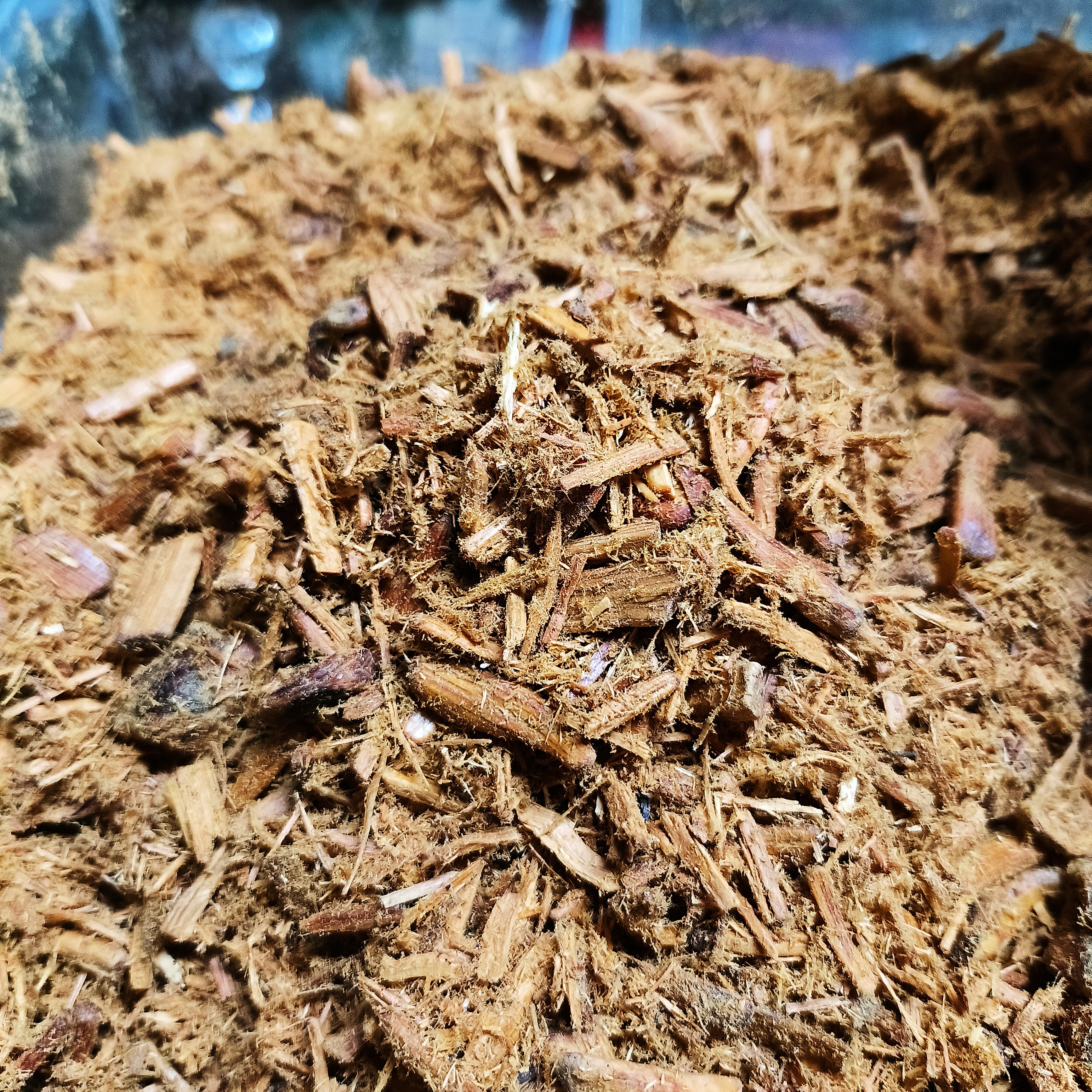 太行崖柏黑油骨料天花板香料居家电熏纯天然香料  300g 劲家出品